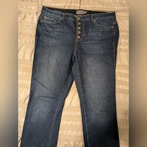 torrid Dark Blue Skinny Jeans with Button-Fly